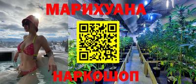 PSILOCYBIN Кинель