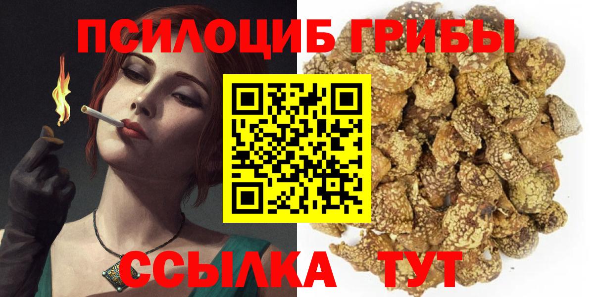 Галлюциногенные грибы Cubensis  Вход с VPN  Лосино-Петровский  Псилоцибиновые грибы ЛСД 