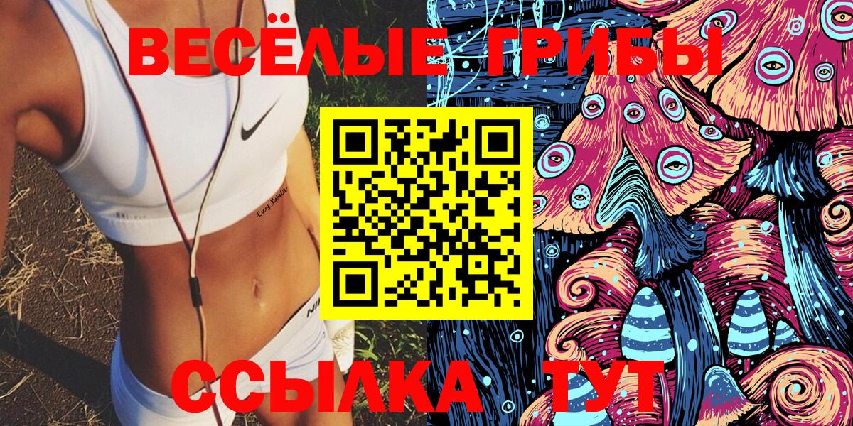 Галлюциногенные грибы Psilocybe Лосино-Петровский